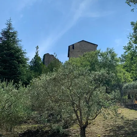 Rez De Avec Piscine Apartmán