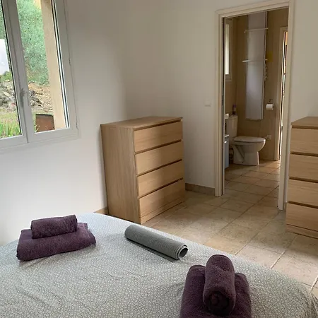Rez De Avec Piscine